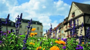 At home in Vernon with local guide and painter Patricia Rynski d'Argence