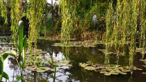 Alastair Miller in conversation with Claude Monet’s great-grandson, Philippe Piguet
