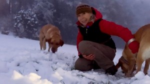 Week 89: Australia and New Zealand