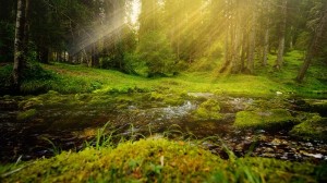 Meditation: Mindfulness with Mona Therese