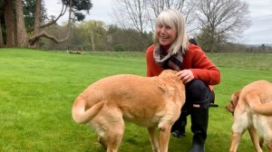 This week: Great Lakes & Canada