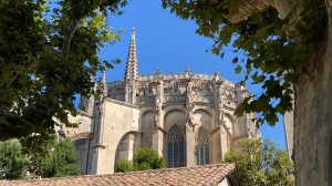 Get an intimate glimpse of Provence from a local guide and learn about the terroir that produces its elegant Rosés