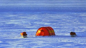 Join Viking godmothers Liv Arnesen and Ann Bancroft in the eleventh installment from their captivating memoir