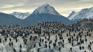 Discover the best of South America with illustrator Suzy-Jane Tanner