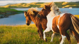 Discover 10 top British Isles experiences with Karine Hagen