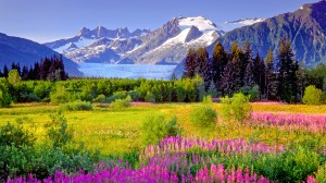 Uncover the treasures of the US with Cruise Critic’s Chris Gray Faust