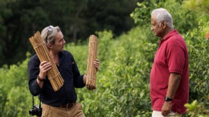 Delve into the story of Dilmah tea with Dilhan and Malik Fernando