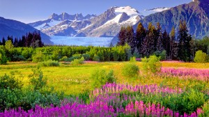 Discover US destinations best explored by ship with Jean Newman Glock