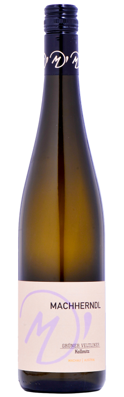 Machherndl Grüner Veltliner Kollmitz