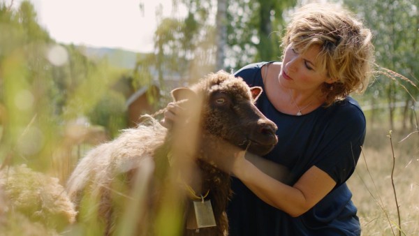 Sissel Sundays: Honoring Louis Armstrong & Martin Luther King, Jr.