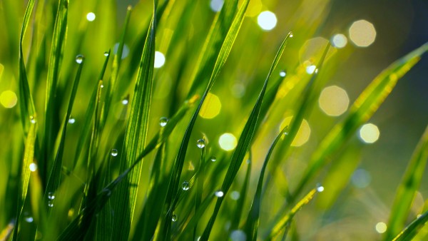 Meditation: Mindfulness with Mona Therese