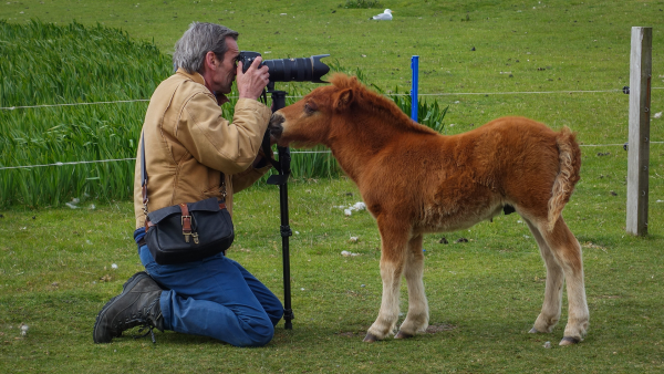 Encore: British photographer Alastair Miller shares his favorite images from his travels with Viking