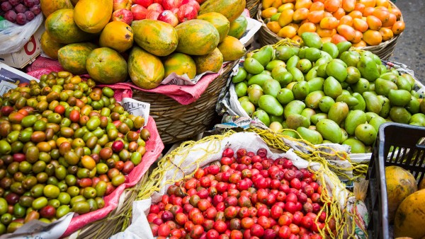 Explore the fascinating customs and cuisines from around the world with Viking Guest Lecturer Paulette Mitchell