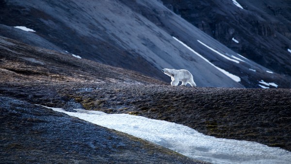 Discover our Iceland & Norway’s Arctic Explorer itinerary with Viking’s Neil Barclay