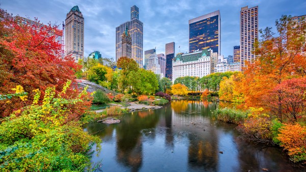 Explore hidden gems in New York with journalist Laura Begley Bloom