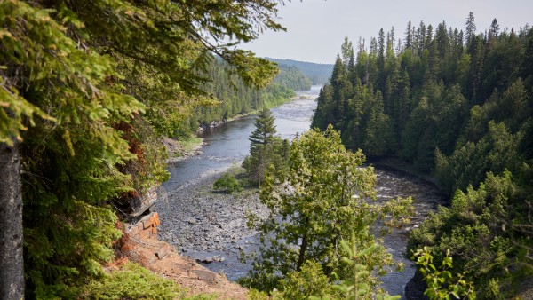 Explore the science behind monitoring forest health from space with Barry Rock