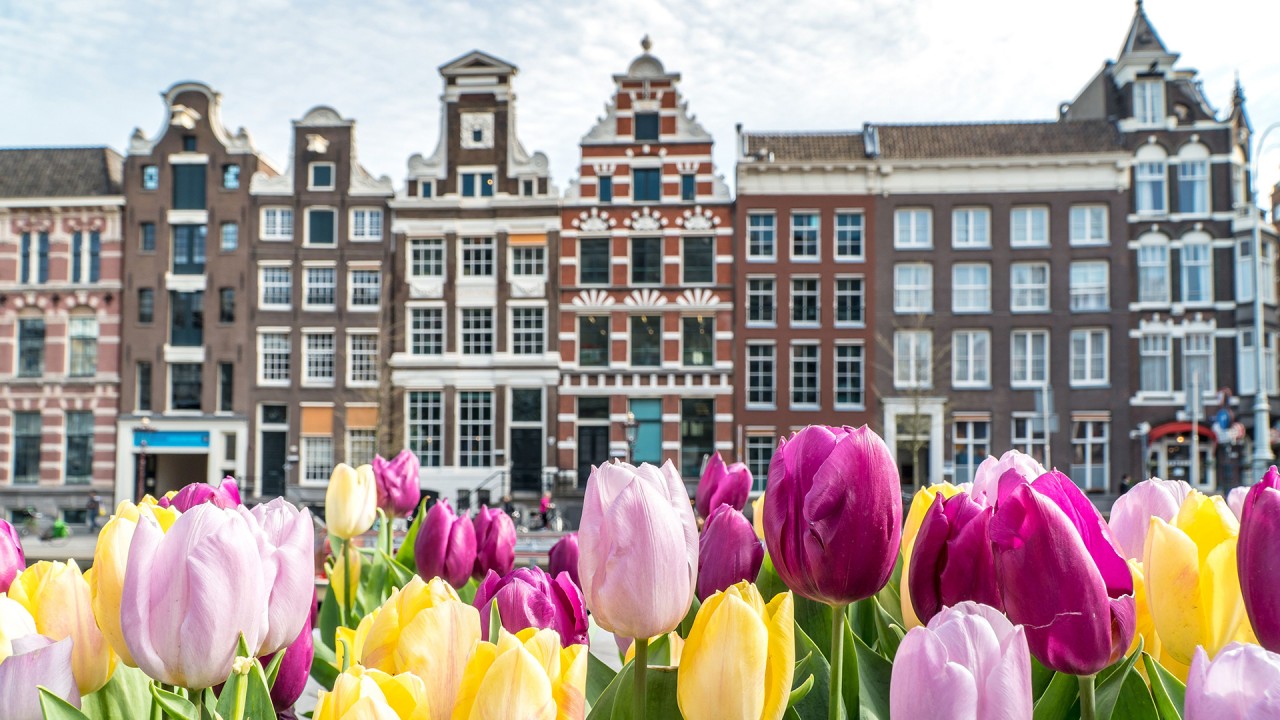 Learn about our Tulips & Windmills itinerary with Joost Ouendag)