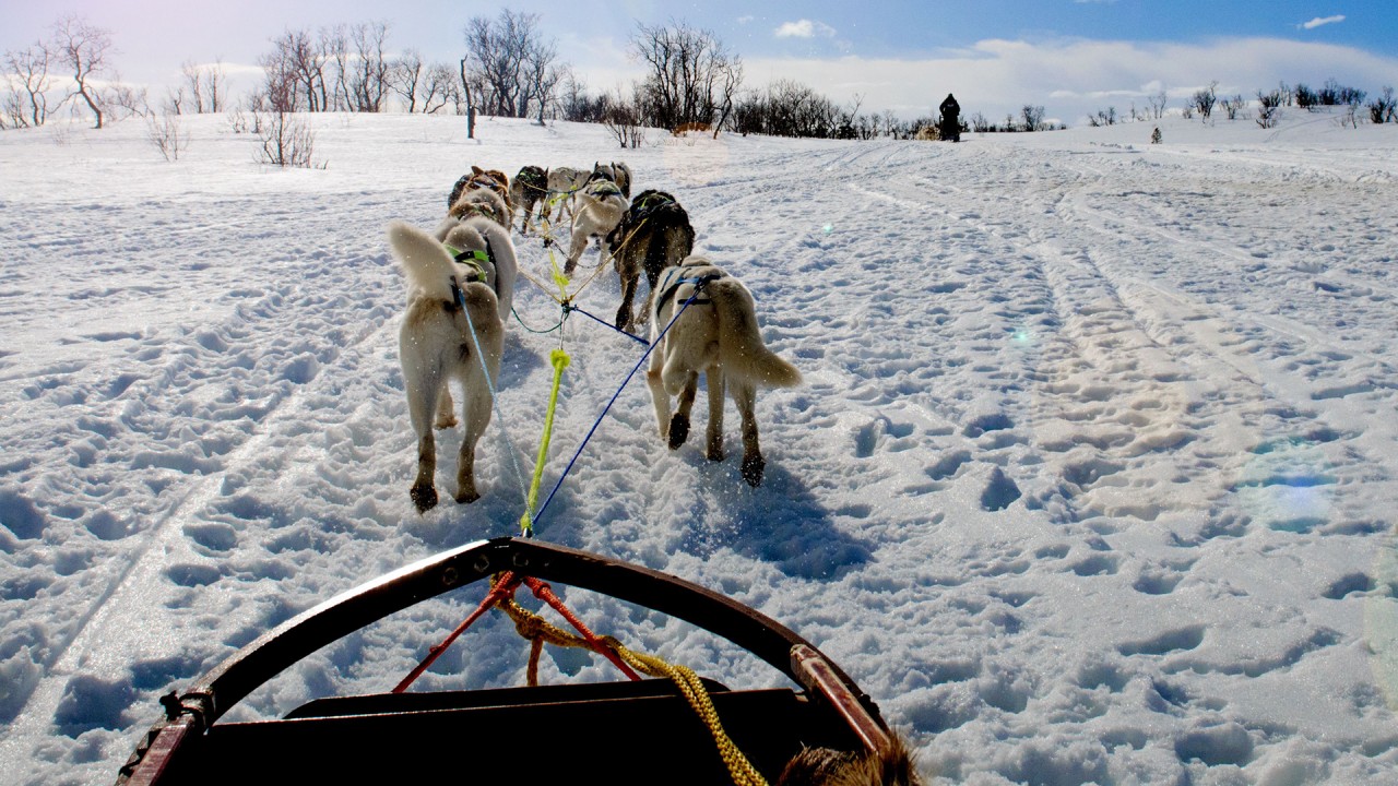 Anne Diamond interviews Dog Musher Thomas Wærner)