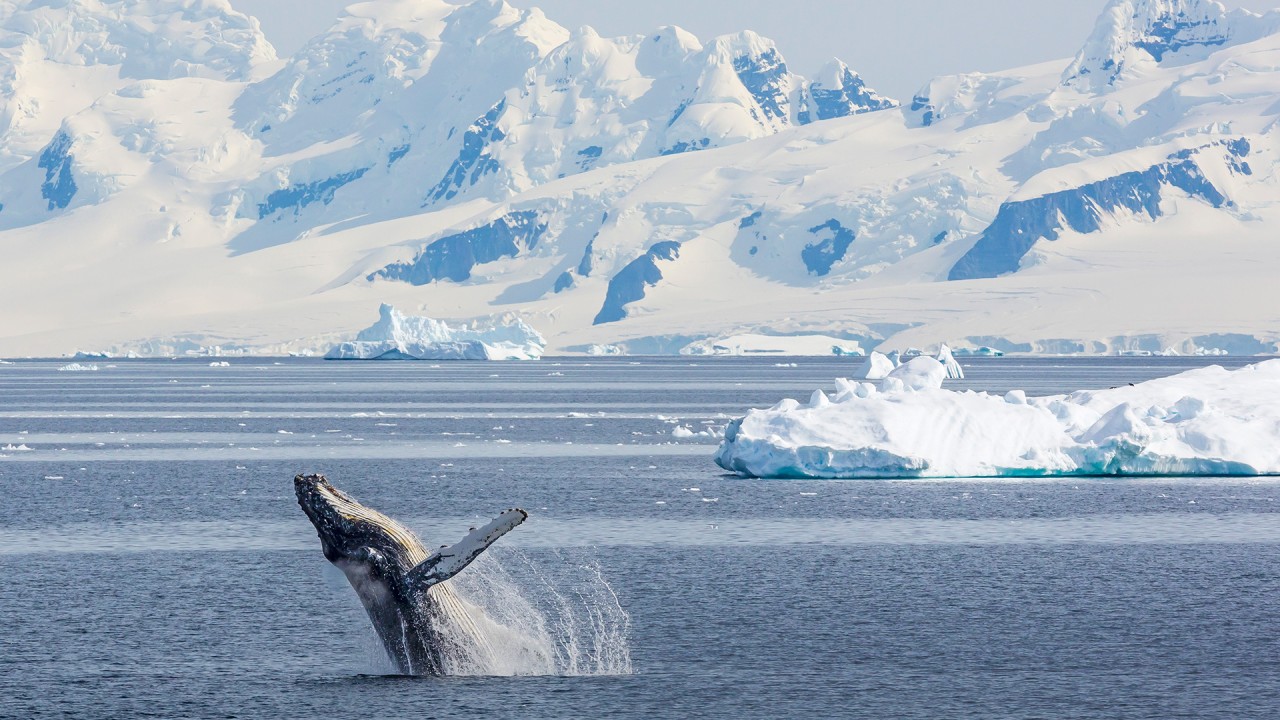 Discover our Antarctic Explorer itinerary with Karine Hagen )