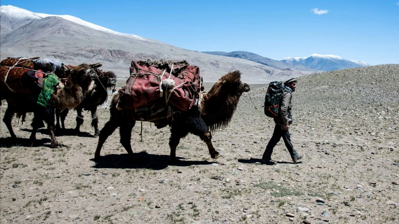 Anne Diamond interviews author Levison Wood)