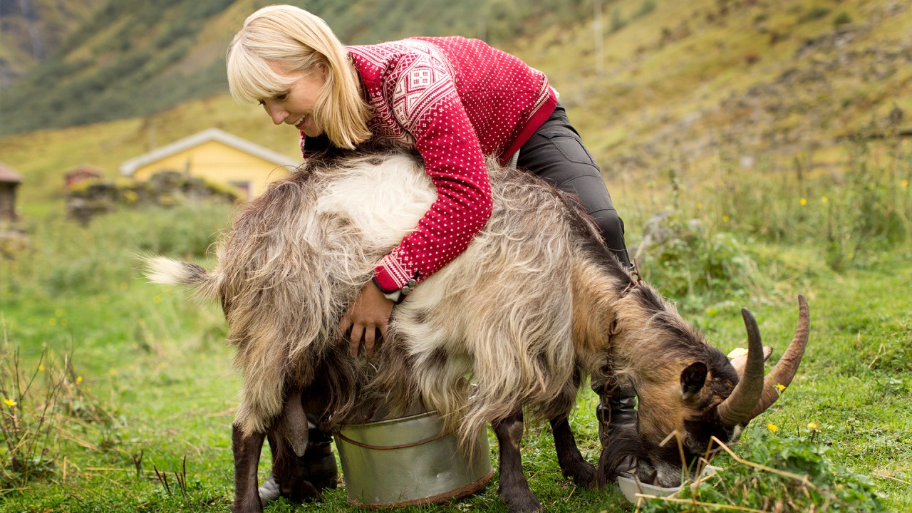 Celebrate Norwegian heritage with Karine Hagen)