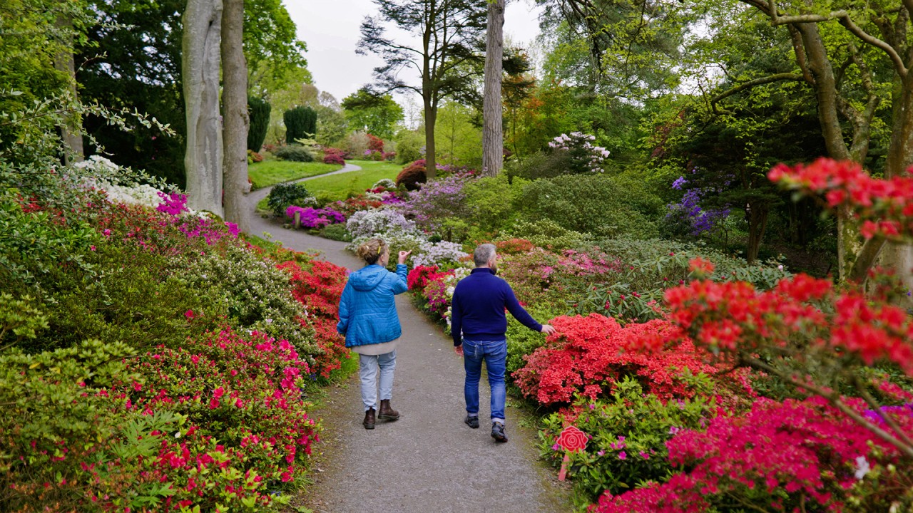 Journey through Bodnant Garden and Snowdonia National Park with Paul Hervey-Brookes)