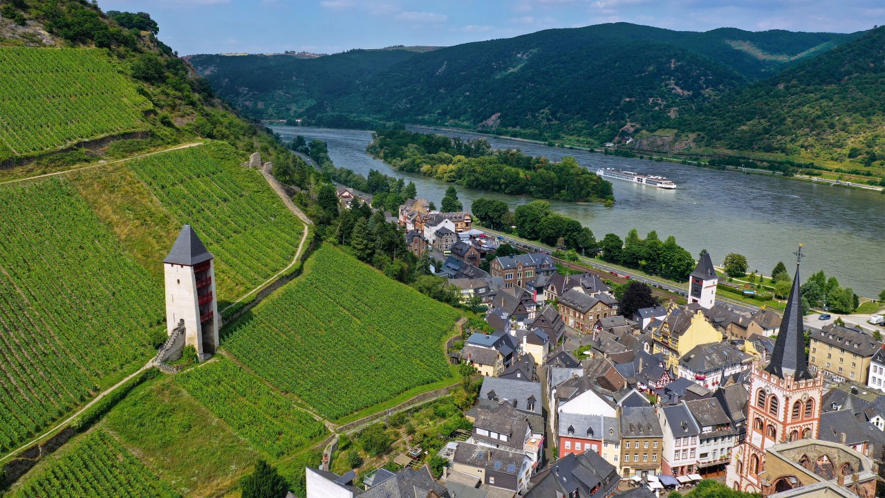 Discover the Highlights of the Rhine, Main & Danube Rivers