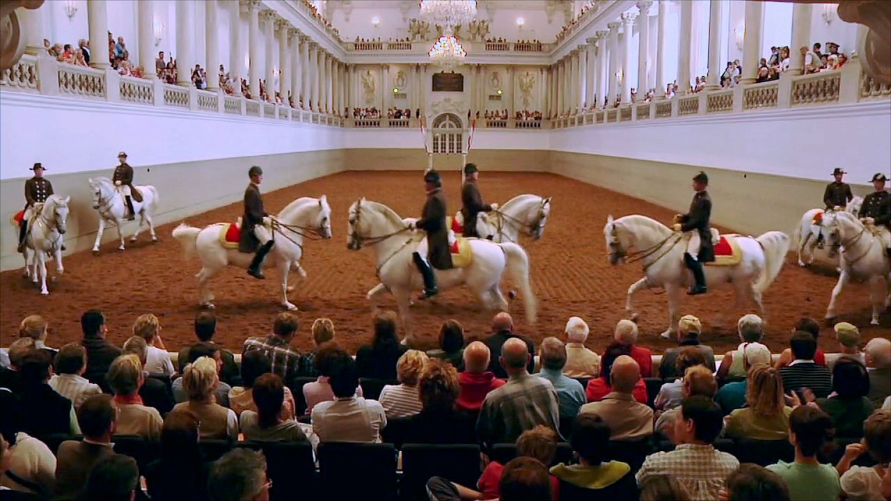 Vienna's Famed Lipizzaner Stallions)